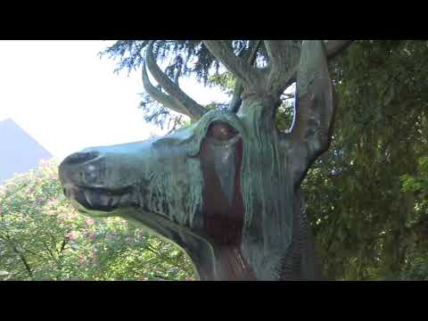 Das blutige Auge des Platzspitzhirschs