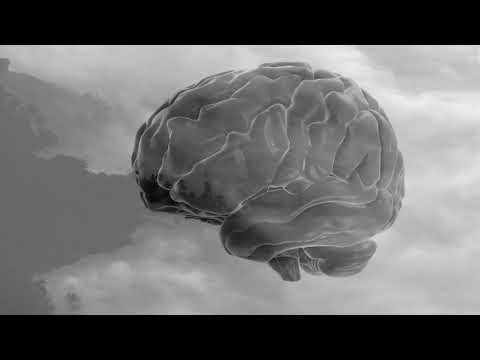 ZIK - MYSTIFICATION by Pralayah Records