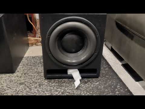 #4 Alibaba 12" 500w rms 1000w peak powered by Bash 300s 300w rms 600w peak plate amplifier