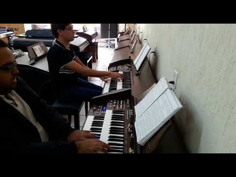 Orgãos Eletrônicos Tokai T-1 e MD-750 - Loja Teclasom