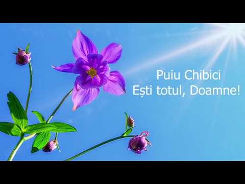 Puiu Chibici - Esti totul, Doamne!
