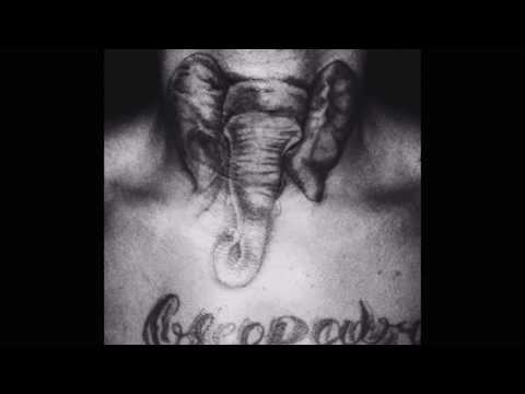 download lagu mp3 mp4 Elephant In The Room Instrumental, download lagu Elephant In The Room Instrumental gratis, unduh video klip Elephant In The Room Instrumental