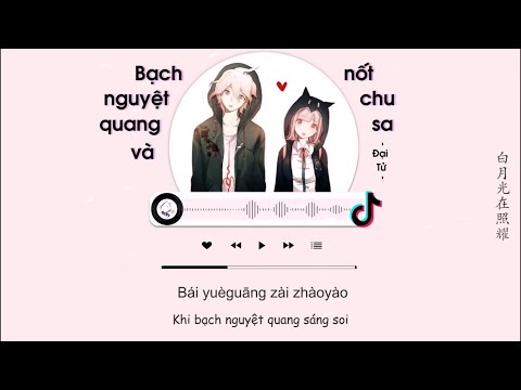 [Vietsub] Bạch Nguyệt Quang Và Nốt Chu Sa (full Tiktok) - Đại Tử |  白月光与朱砂痣 - 大籽