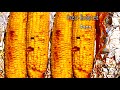 PERFECTLY ROASTED CORN ON THE COB A FLAVORFUL OVEN RECIPE YOU LL LOVE MAÏS EN ÉPI RÕTI AU FOUR