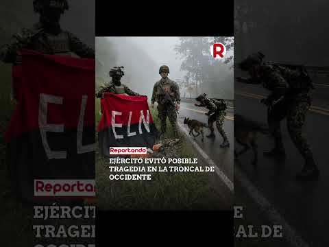 Ejército destruyó 13 explosivos del ELN ubicados en vía principal de Valdivia, Antioquia.