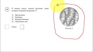 Десятый вариант 