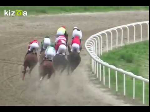 Beogradski Hipodrom, 08/07/2018... "Internacionalna trka"