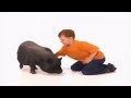 This Is Daniel Cook Intro But It S The Audio Being The Theme Song Of This Is Emily Yeung