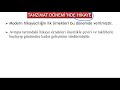 10. Sınıf  Edebiyat Dersi  Hikaye Türleri Modern hikayeciliğin ilk örneklerinin verildiği Tanzimat Edebiyatı&#39;nda hikaye türünün gelişimi ve özellikleri hakkında ... konu anlatım videosunu izle