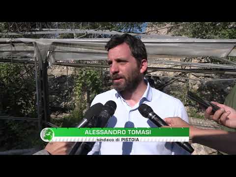 Pistoia. Nuovo crollo delle mura cittadine in viale Arcadia