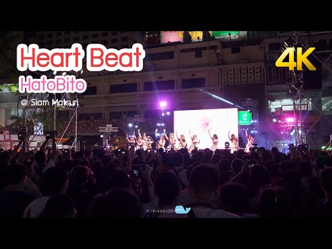 [20201115][4K] Heart Beat - Hato Bito @ Siam Matsuri