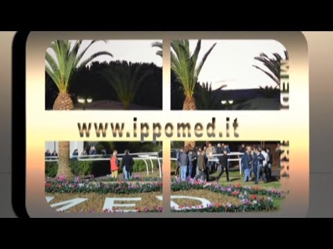 Trotto Corse del 22 Novembre 2019