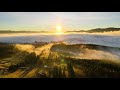 Tangerine Dream   Valley of the Sun