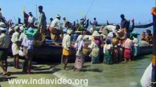 Chakara - Bountiful catch for the fishermen