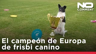 El perro de refugio Flying Cake Beza, coronado campeón de Europa de frisbi