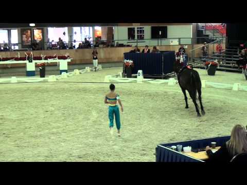 Junior Worlds Female Final - Ermelo 2015