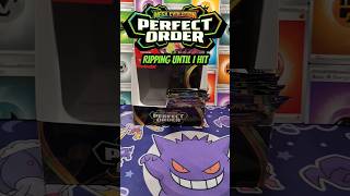 Perfect Order Ep 14 | Ripping til I hit! #pokemoncards #perfectorder #packopening