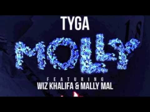 Molly [Tyga] Metal Remix by GuitarmanSDW [Samuel Wright]