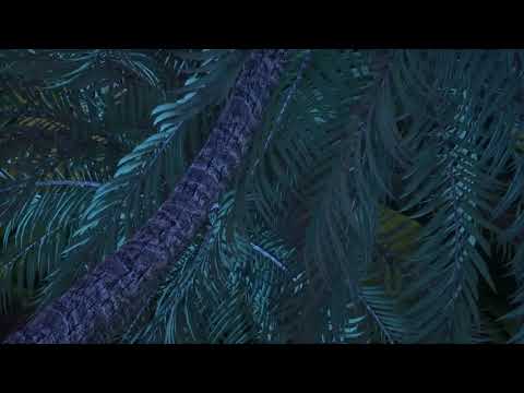 Video thumbnail for Stay Hollow