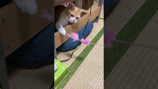 こっち見んな
