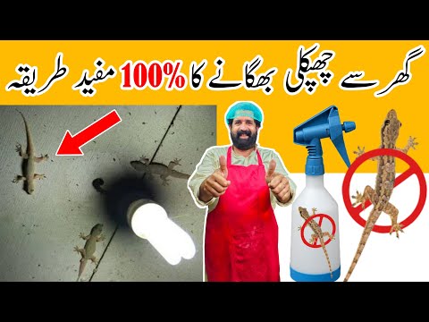 Ghar Se Chipkali Bhagane Ka Tarika | Get Rid Of Lizards At Home | Tips And Tricks | BaBa Food RRC
