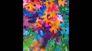 psy chill psy abient ((delirioym mix))