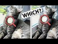 iPhone 11 Pro vs Galaxy S20: Camera Comparison! Which is Better? iPhone 11 Pro vs Galaxy S20: Camera Comparison! Which is Better?