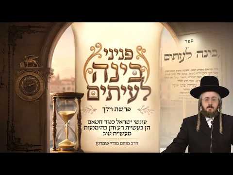פניני בינה לעיתים - פרשת וילך