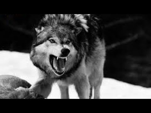 💔|لحن الموت|وفاء_الاصدقاء_لبعض _حزين_ جدا 💔💔💔