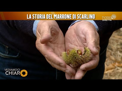 Vediamoci Chiaro, 12 ottobre 2021 - La storia del marrone di Scarlino