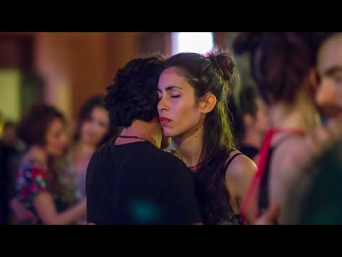 COCOA BLUES & FUSION EXCHANGE 2019 · Aftermovie