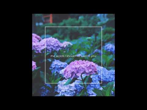 demxntia - the words i should've said