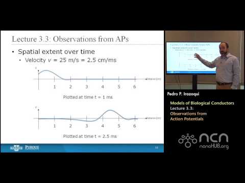 nanoHUB-U Bioelectricity L3.3: Biological Conductors - Observations from Action Potentials