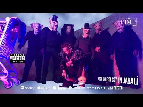 Mr. Pimp - Devora Coolos (Lyric Video)