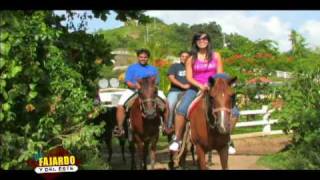 preview picture of video 'DFDE ::  Monta a caballo, Hacienda Carabali, Luquillo, P.R.'