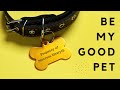 Hypno Powered Puppy Play Fun For Complete Beginners And Experienced Pets