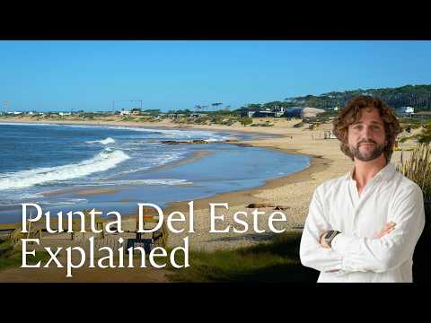 From Punta Ballena to José Ignacio | Your Complete Punta del Este Guide