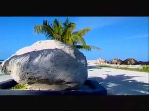 Dhivehi Song I Neyngi Vevey Ihusaaseh I Ali Rameez I Ali Rameez Songs