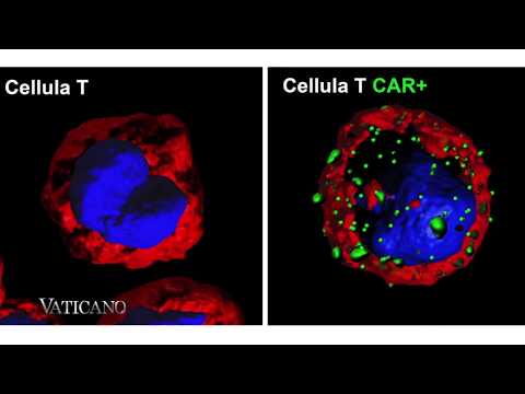 VATICANO - Das EWTN Nachrichtenmagazin aus Rom - Episode 327 vom 10.2.2018