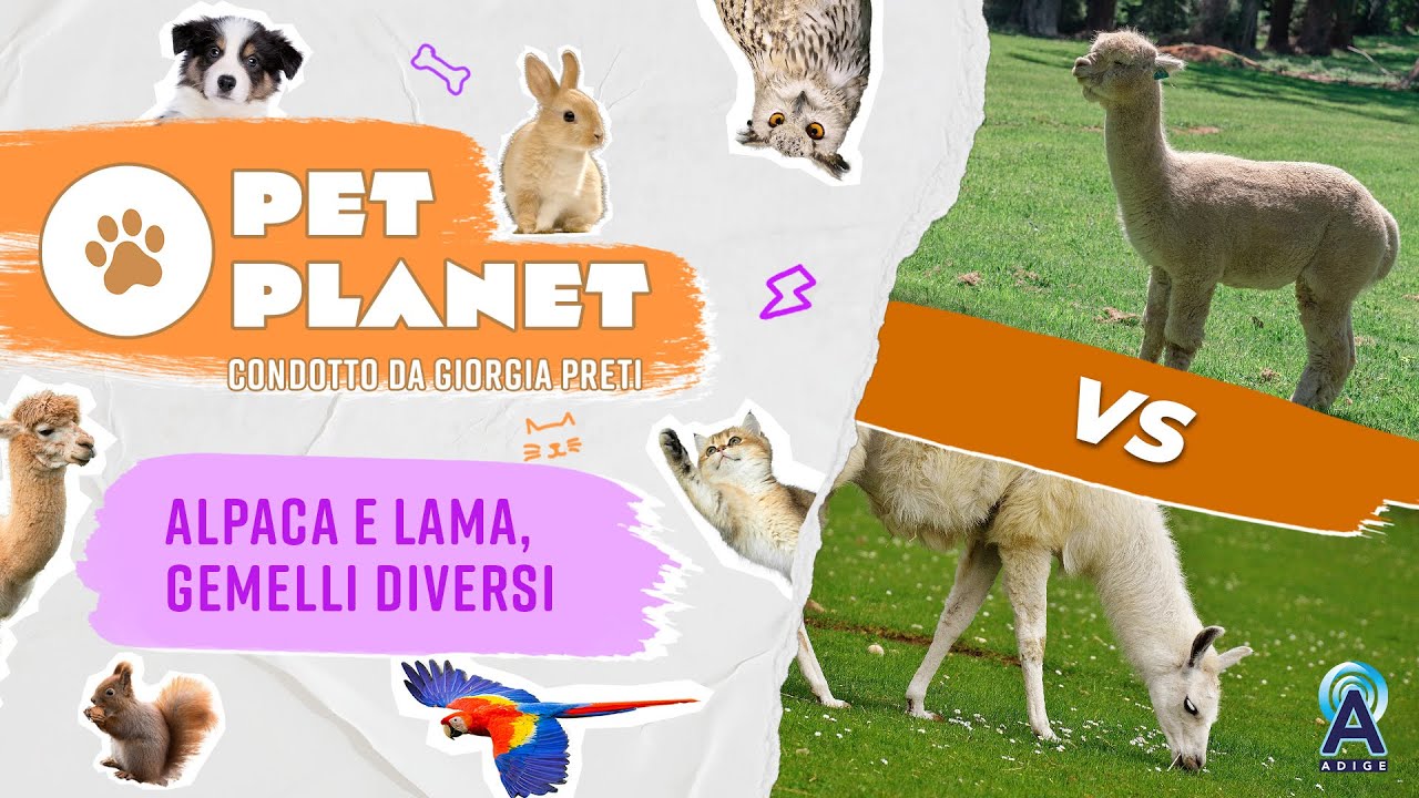 Descrizione dell'immagine