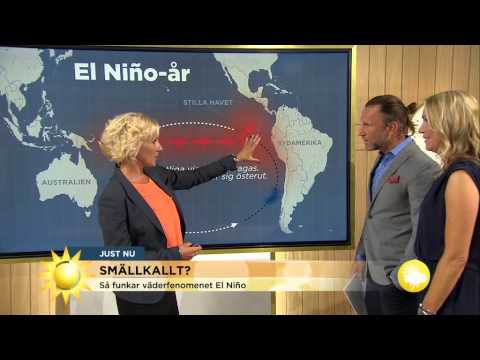 Väderspecial: "Superkyla närmar sig" - Nyhetsmorgon (TV4)