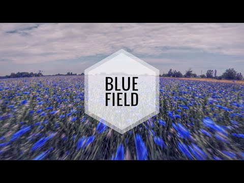fpv--blue-field--emax-hawk-5-freestyle