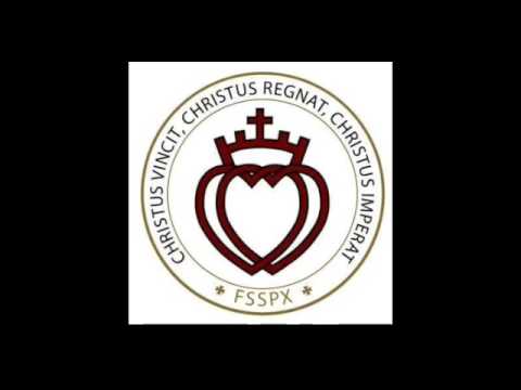 Die Liturgie - neue Messe erklärt - Dr. Gregorius Hesse