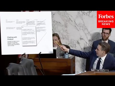 'Meta's Own Words': Josh Hawley Reads Meta's Policy On AI Bots And Children Leaked By Whistleblower