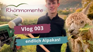 Alpakas & Baustellen - Vlog 003  - Rhönmomente