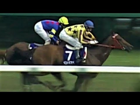 2000 Japan Sprinters Stakes G1 - Daitaku Yamato (大德大和) - T.Eda (香港馬特區之星除了出閘快之外全程捱打尾二而回)
