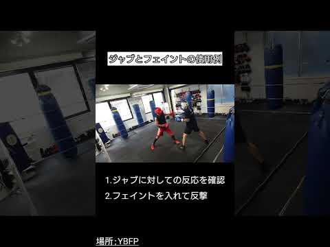 【技】ジャブとフェイントの使用例【ボクシング】