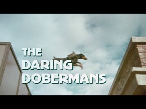 1973 A Volta da Gang dos Dobermans