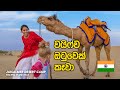 INDIA Vlog 13 Jaisalmer Desert Camp Camel Attack In Thar Desert