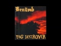 Pig Destroyer - Fuck You Up And Get High (Dwarves Cover)